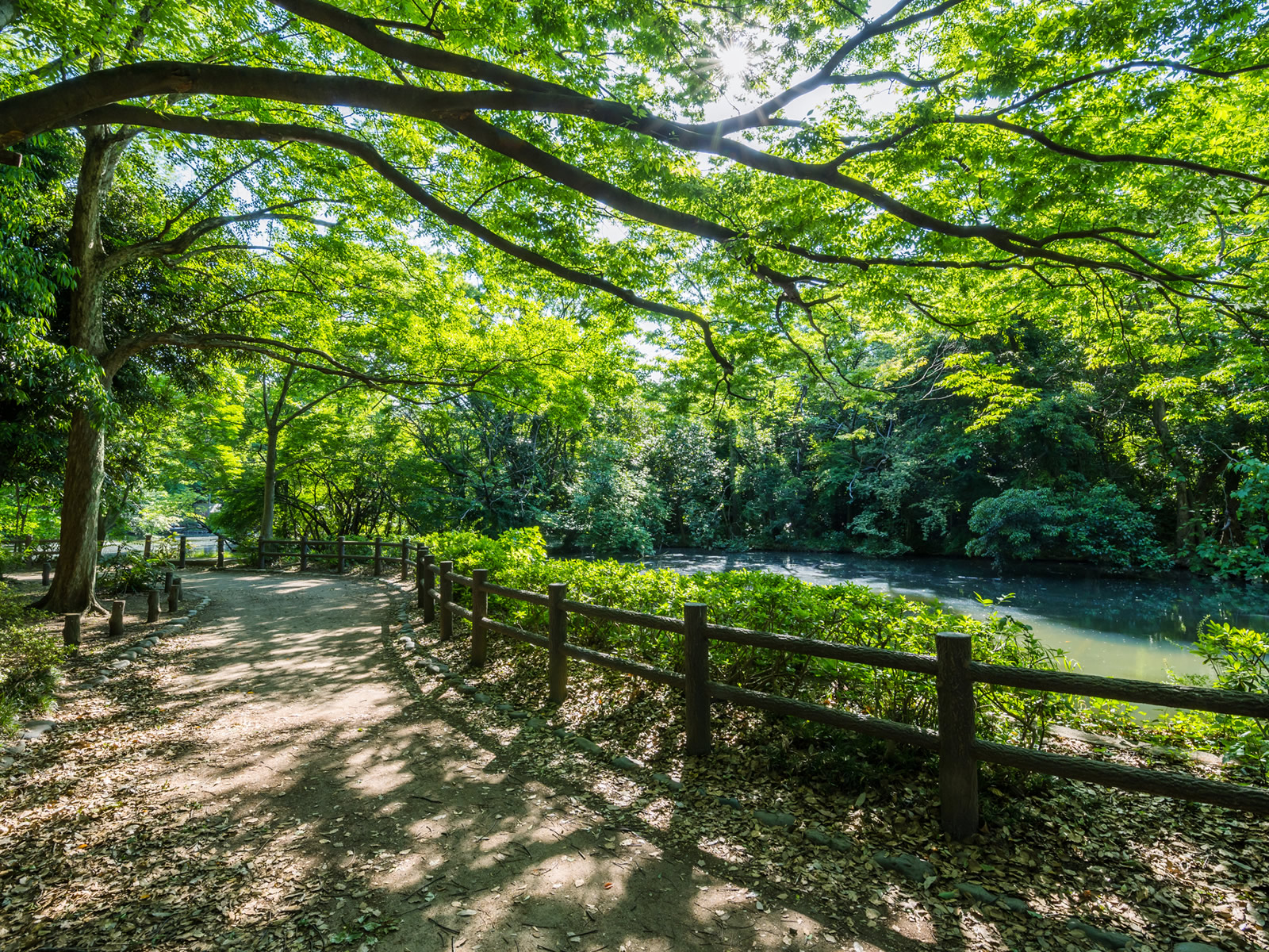 和田堀公園